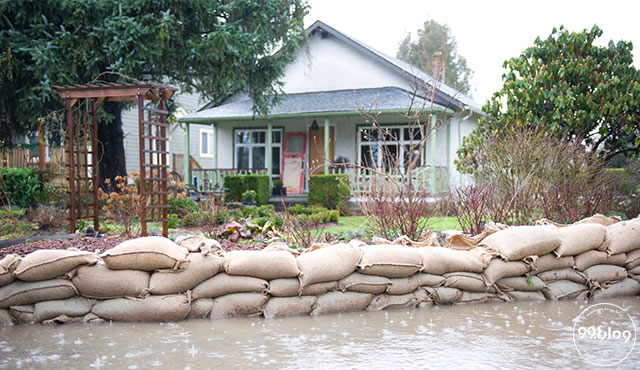 cara mencegah banjir