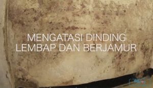 cara mengatasi tembok lembab dan berjamur