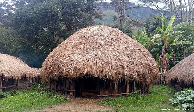 gambar rumah honai dari papua