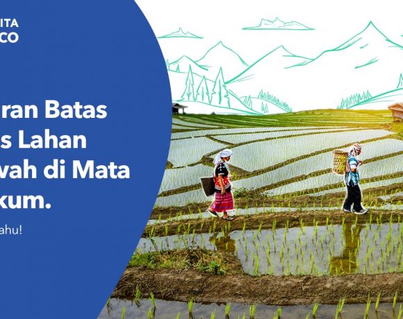 batas luas lahan sawah