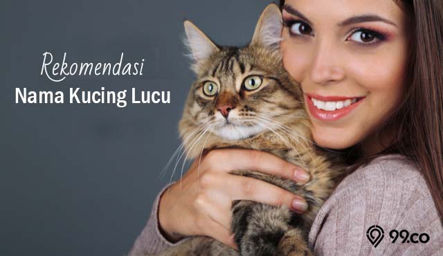 rekomendasi nama kucing lucu