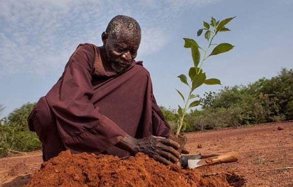 Yacouba Sawadogo dari afrika barat