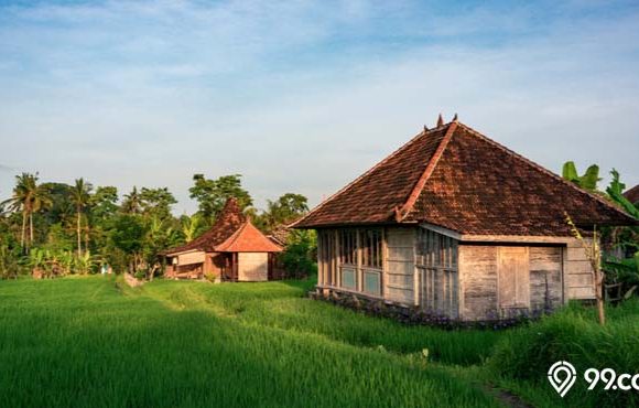 risiko beli rumah bekas lahan sawah