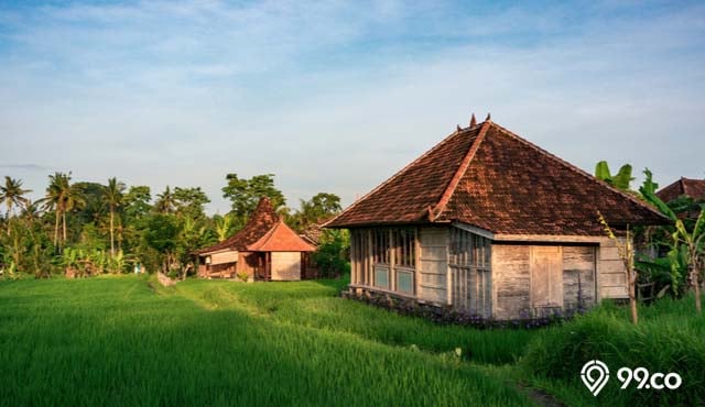 risiko beli rumah bekas lahan sawah