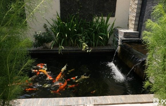 kolam ikan depan rumah menurut islam