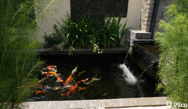 kolam ikan depan rumah menurut islam