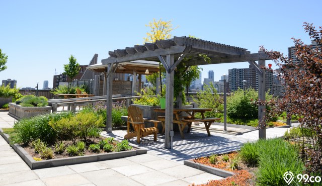 biaya membuat rooftop garden