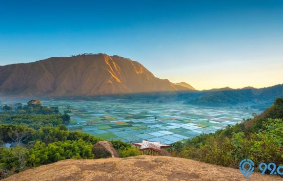 tinggal di lombok