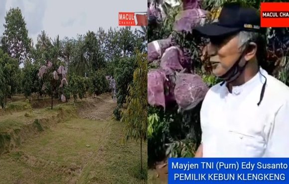 Kebun Pensiunan Jenderal Edy Susanto