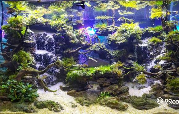 aquascape air terjun