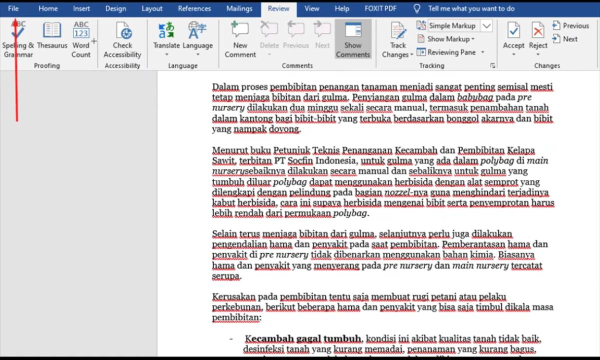 cara menghilangkan garis merah di word