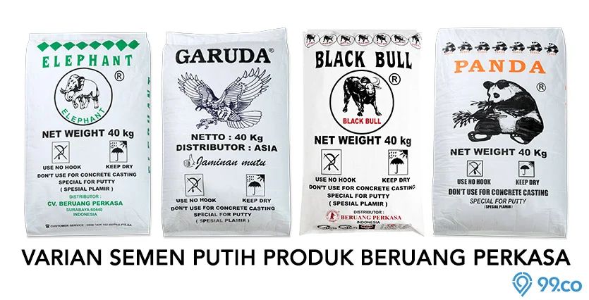 varian semen putih beruang perkasa