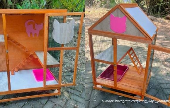 desain kandang kucing outdoor sederhana