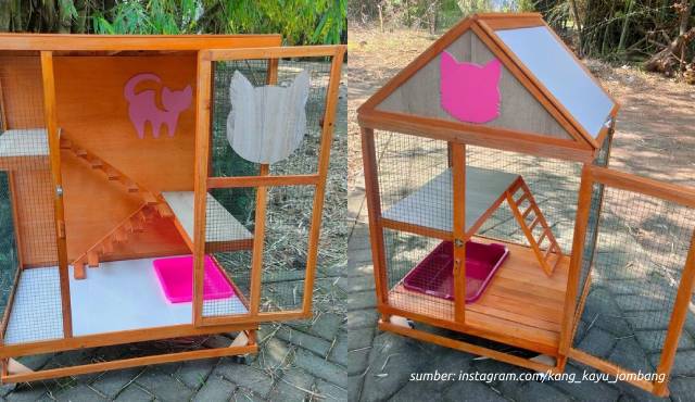 desain kandang kucing outdoor sederhana