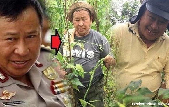 jenderal polri jadi petani