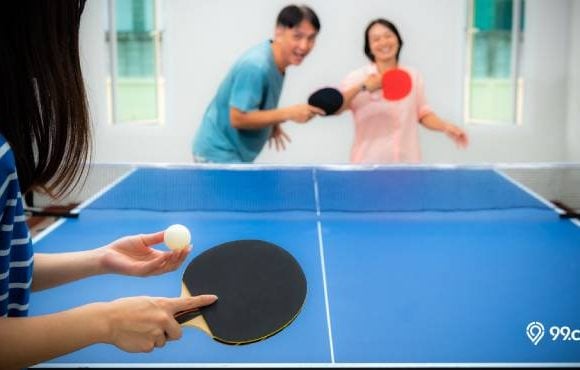 harga meja pingpong