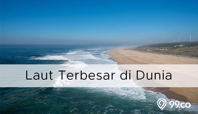 laut terbesar di dunia