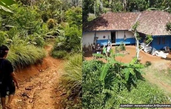 rumah orang tua di tengah hutan