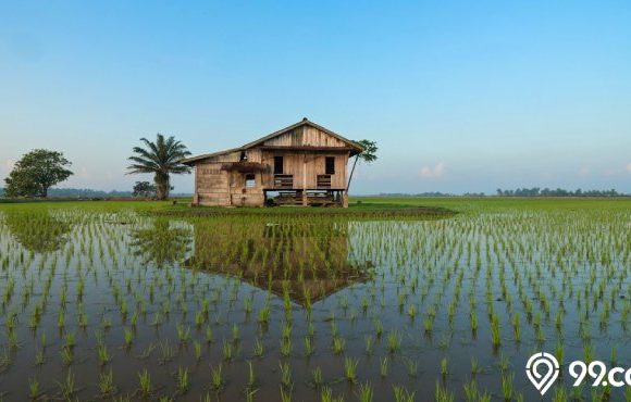 gambar rumah di kampung