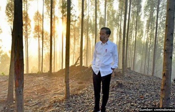 jokowi ikn