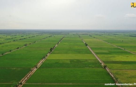 lahan untuk food estate ikn