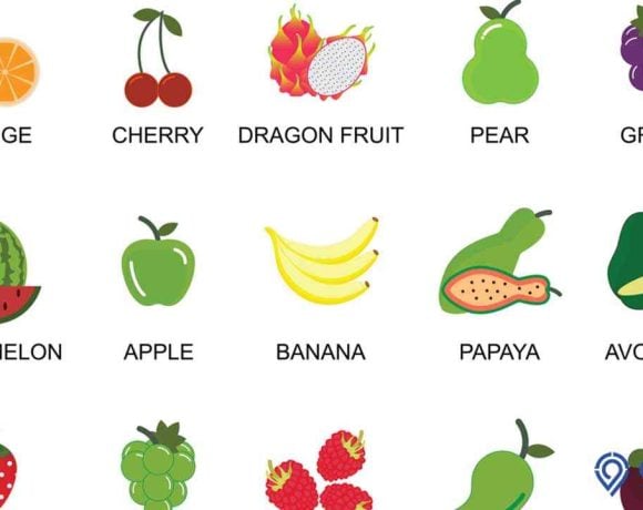 nama buah dalam bahasa inggris