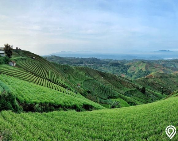 Wisata Majalengka Terasering Panyaweuyan