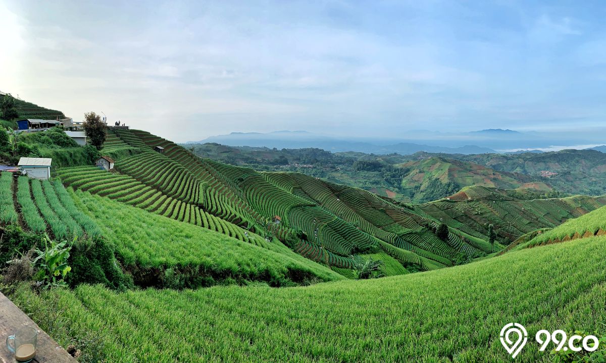 Wisata Majalengka Terasering Panyaweuyan