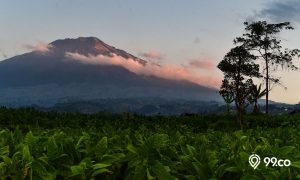 Wisata Temanggung Featured Image