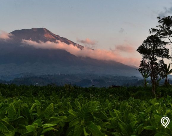 Wisata Temanggung Featured Image