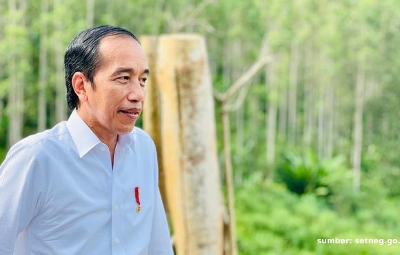 jokowi wujudkan cita-cita soekarno ikn