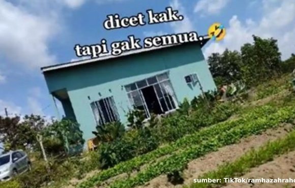 rumah mewah di tengah sawah