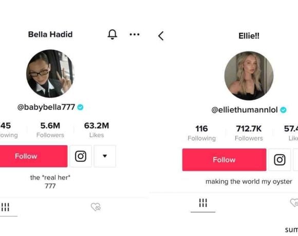 bio tiktok aesthetic