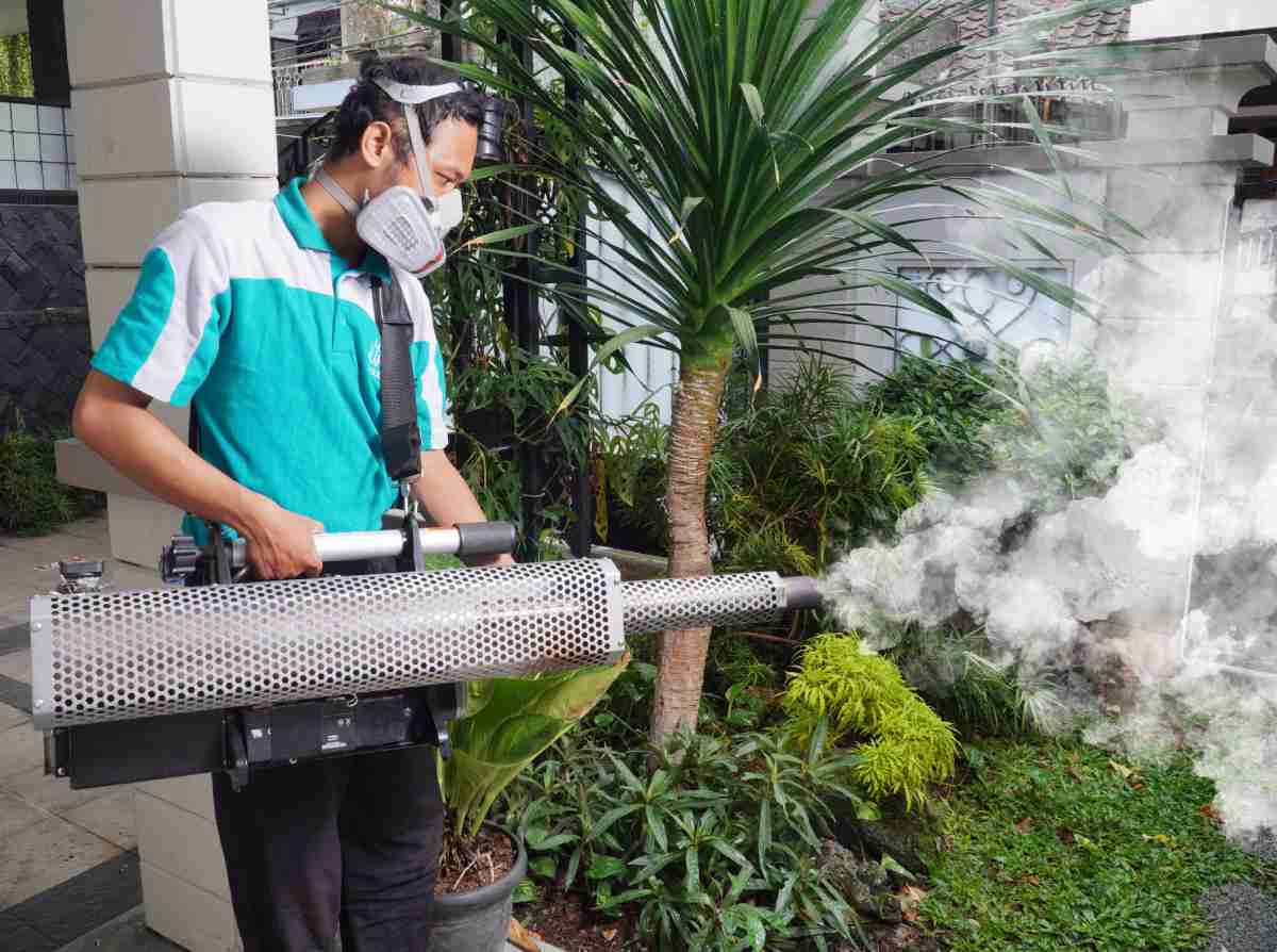 jasa fogging rumah