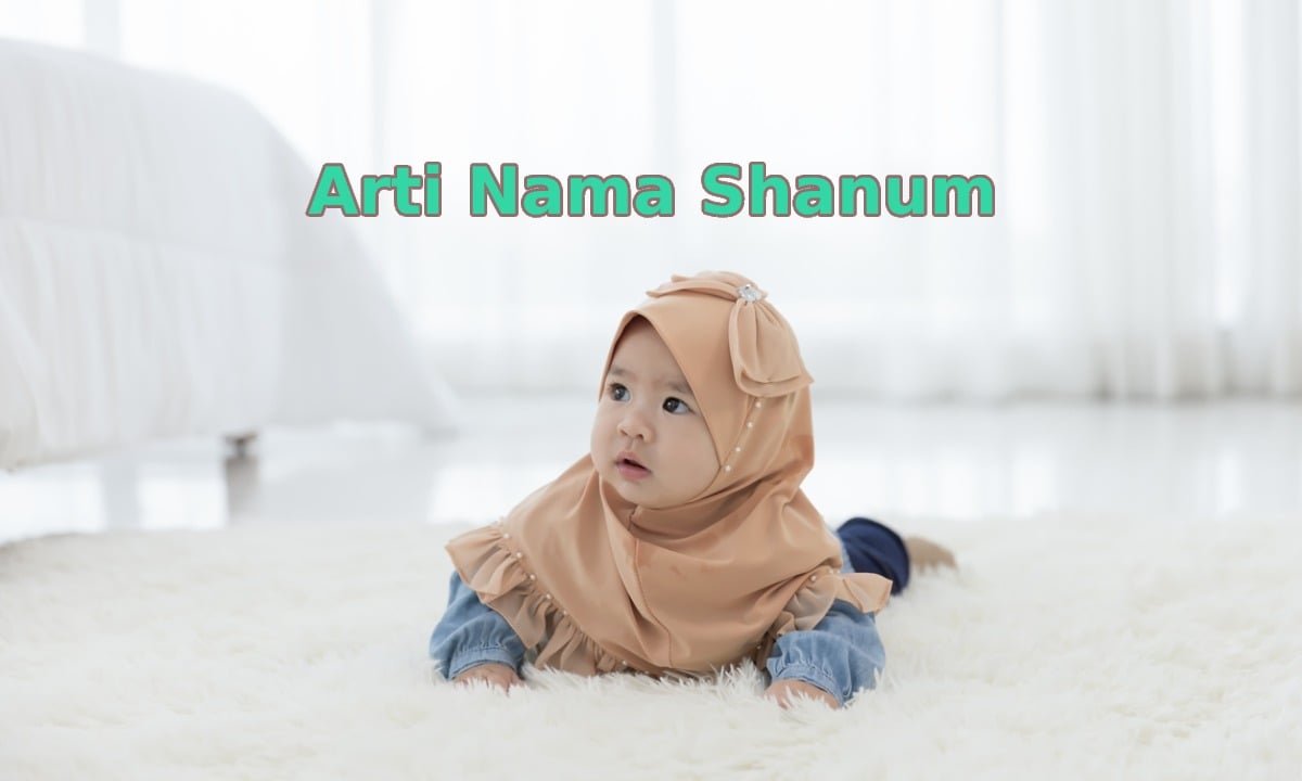 arti nama shanum