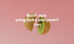 tebak tebakan buah apa yang suka poligami