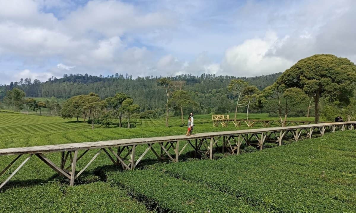 riung gunung pangalengan