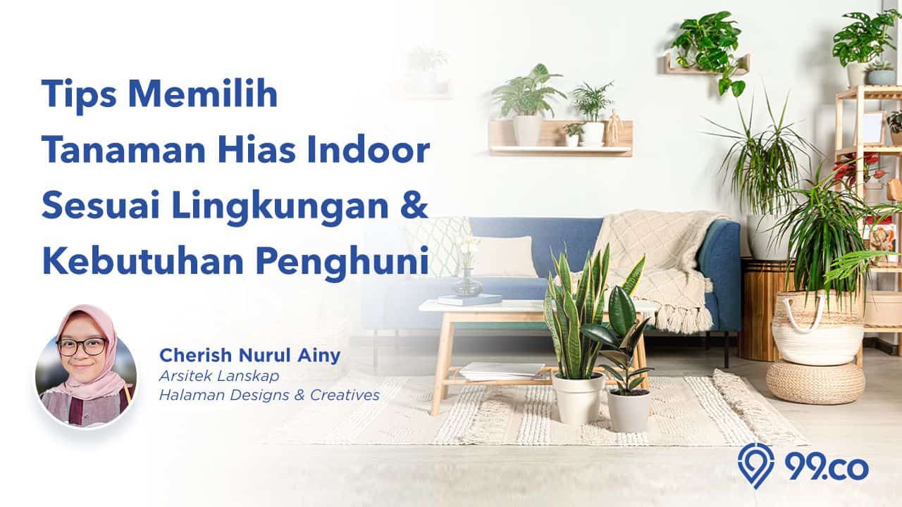 tips memilih tanaman indoor cherish nurul ainy