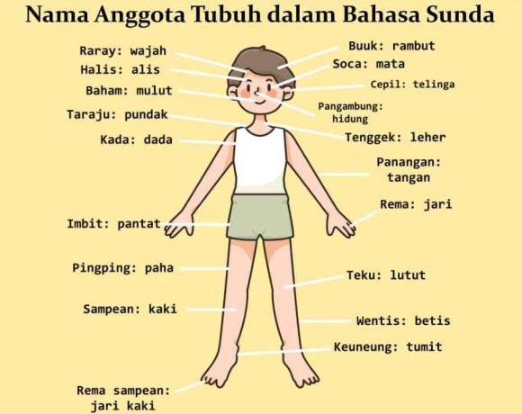 nama anggota tubuh dalam bahasa sunda lemes